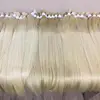 Blond and Brown