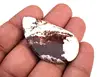 BROWN & WHITE