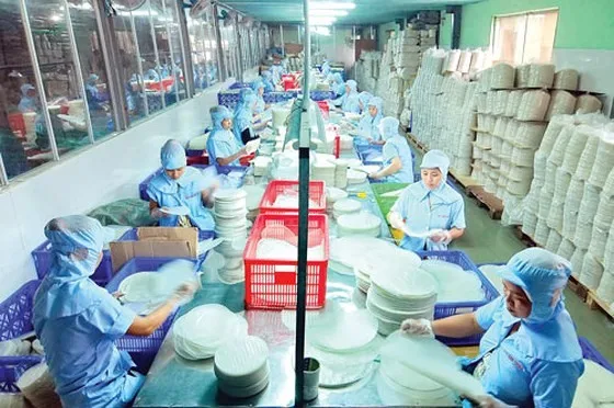 EDIBLE RICE WRAPPER FOR SPRING ROLL 16-22CM DIAMETER FROM VIETNAM FACTORY/SPRING ROLL RICE PAPER WRAPPER CUSTOMIZED PACKAGING