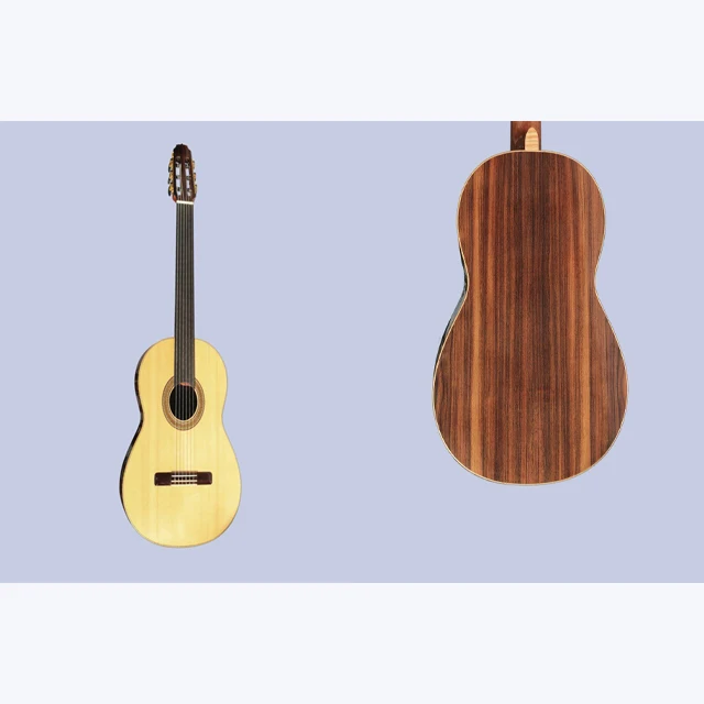 Special Quality Fretless Classical Guitar Sgp 404 Buy Guitar Fretlees Guitar Classical Guitar Product On Alibaba Com