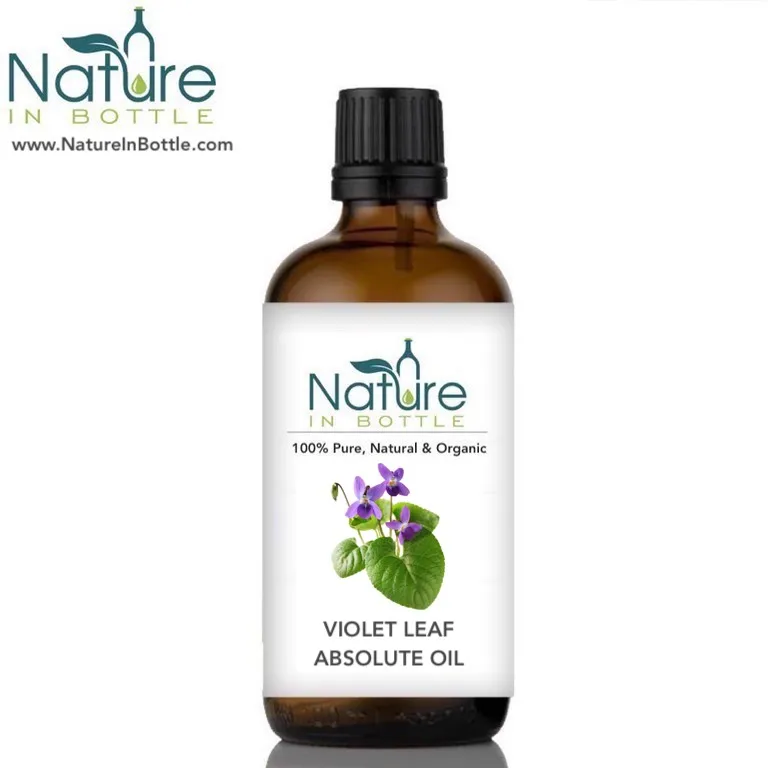 Pure Herbs Violet Leaf 100% Pure & Natural Viola Odorata Essential Oil