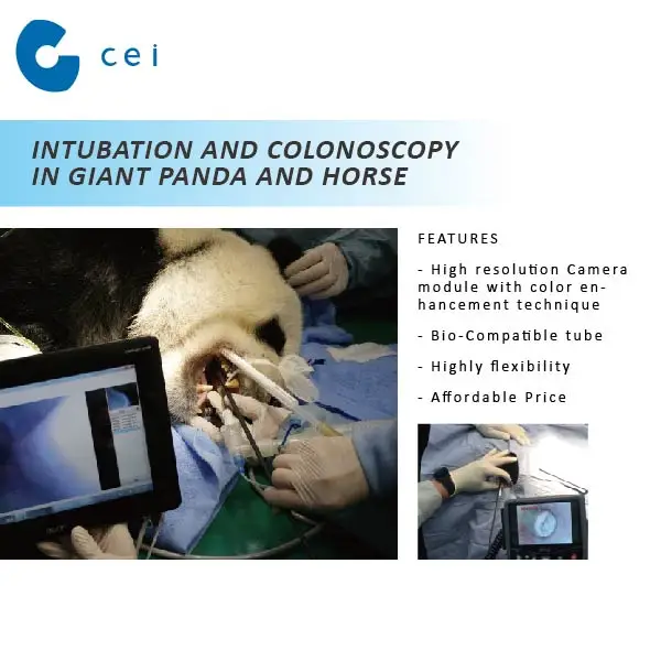 Portable Professional Veterinarian Video Endoscopy Veterinary Big
