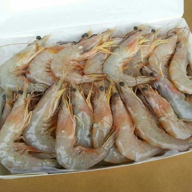 نوعية جيدة Vannamei الروبيان جمبري مجمد القريدس Pdto الجمبري Vanamei الروبيان المجمدة Pd الجملة المجمدة Vannamei الروبيان Buy Vannamei White Shrimp Penaeus Vannamei Shrimp Frozen Vannamei Shrimp Product On Alibaba Com