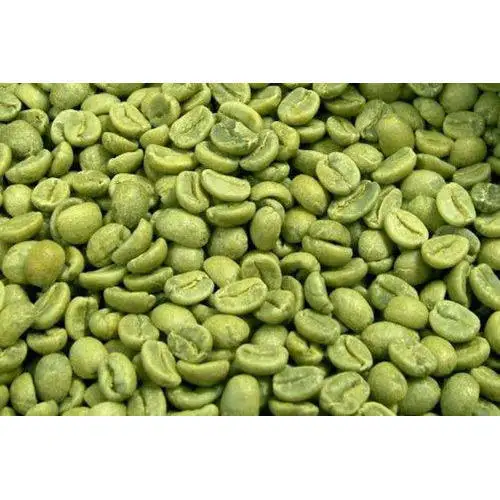 organic green coffee beans bulk