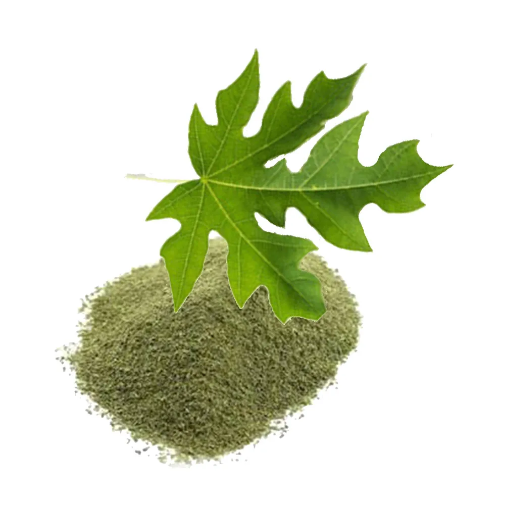 Листок акварель. Листья гуаюсы. Человечки из листиков. Папоротник. Ясень листочки.