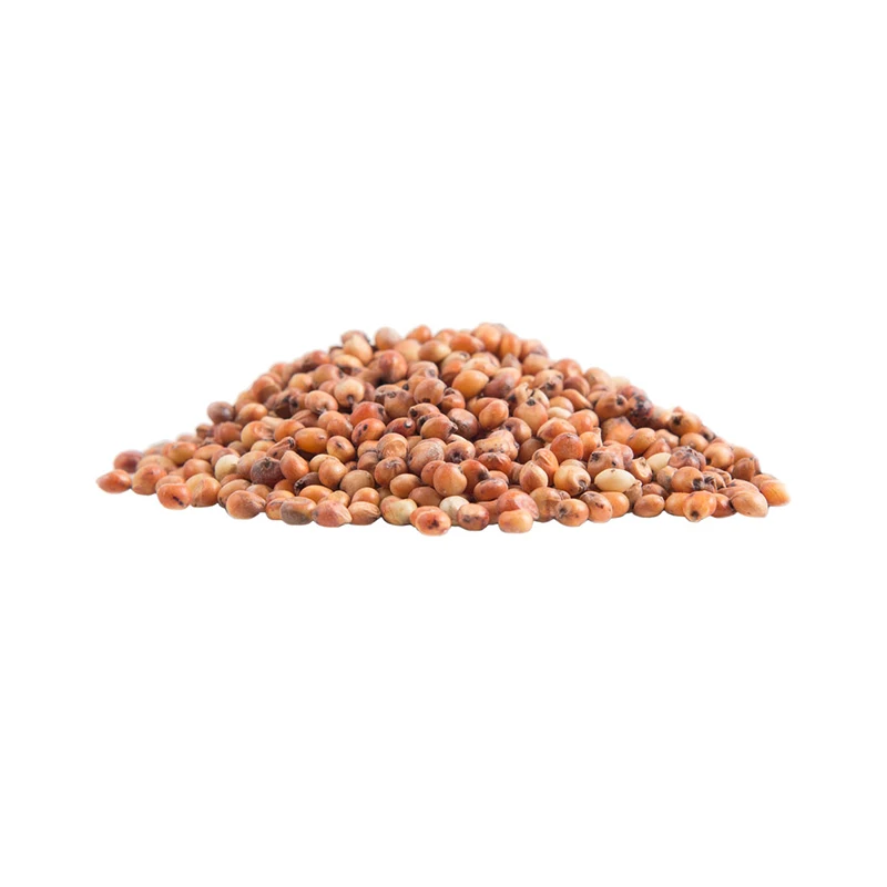 Sorghum Hot Sale White Sorghum For Sale In India - Buy Sorghum,White ...