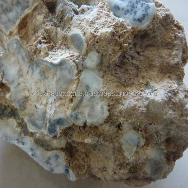 Turkish Dendritic Agate