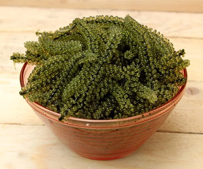 Wildcraft Dehydrated Vietnamese Sea Grapes/ Delicacy Seaweed/ (ms