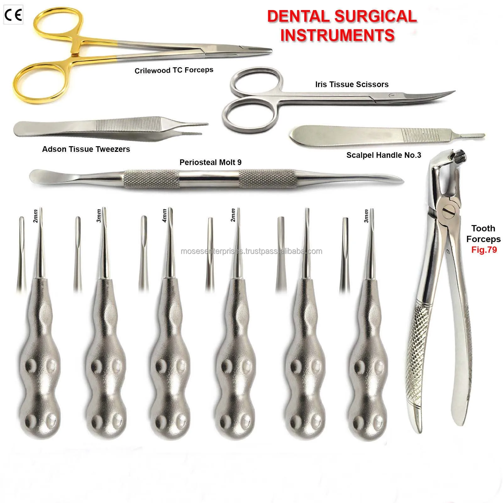 Set Di 2 Elevatori Alati 6 Mm – Strumenti Estrazione Radici Dentali (TK PLUS, Acciaio Inox) - Foto 6