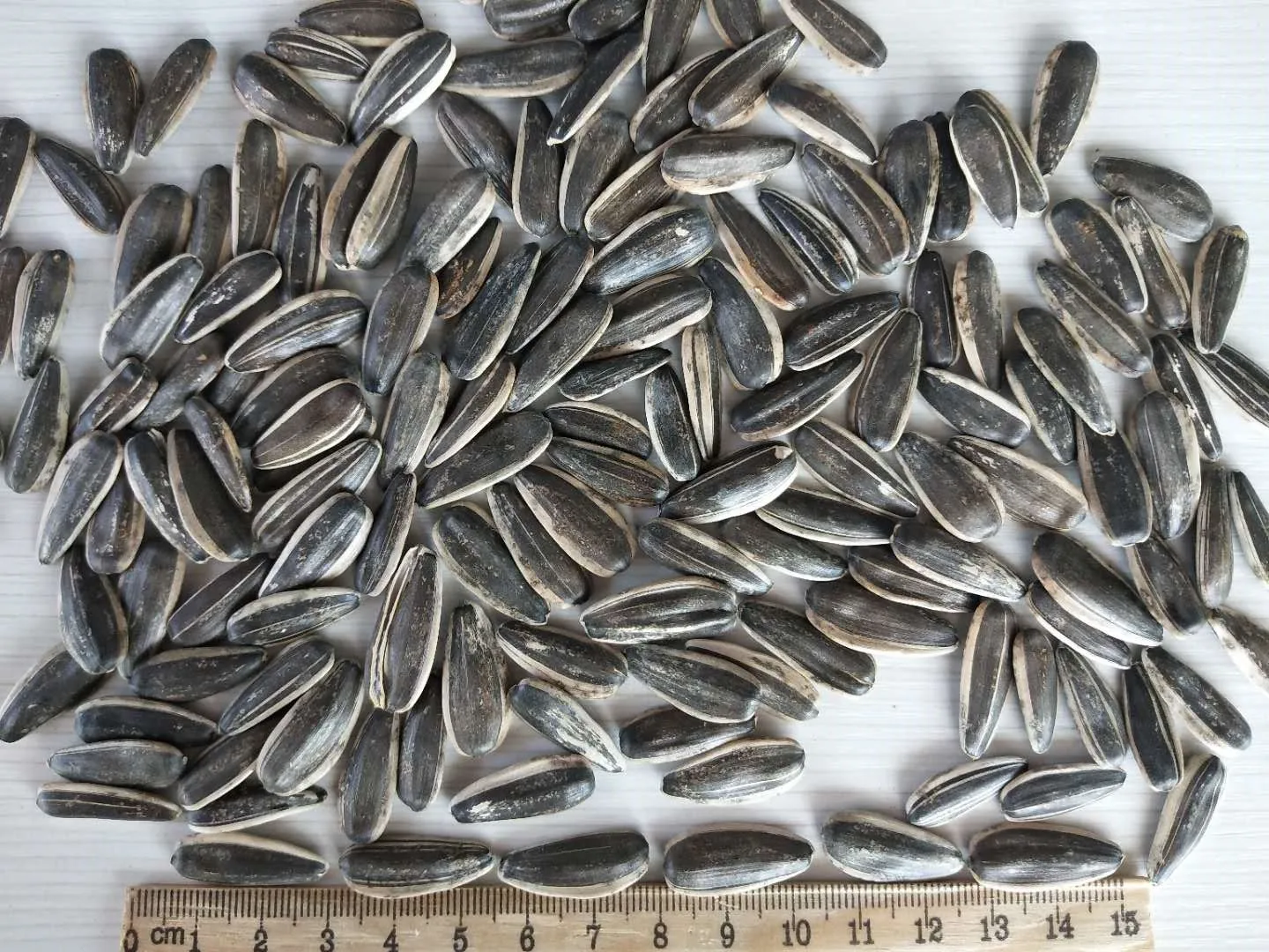 Wholesale Organic Sunflower Seed Market Price Sunflower Seed Price Per