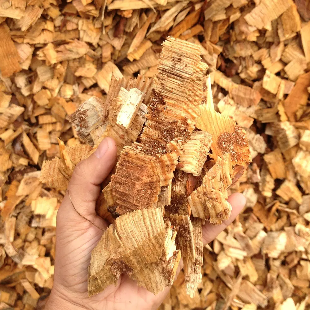 Pine Wood Chips/ Eucalyptus Pulp Wood Chip/ Vietnam Woodchips Suppliers