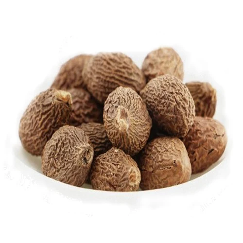 Dried Malva Nut/Scaphium Affine with Cheap Price
