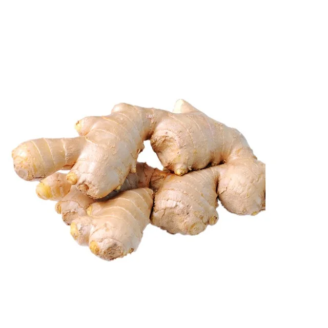 越南a级新鲜生姜特别是孟加拉客户 - buy ginger,fresh ginger,price
