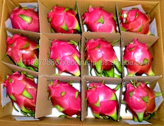 Red Dragon Fruit Box (Pitaya)