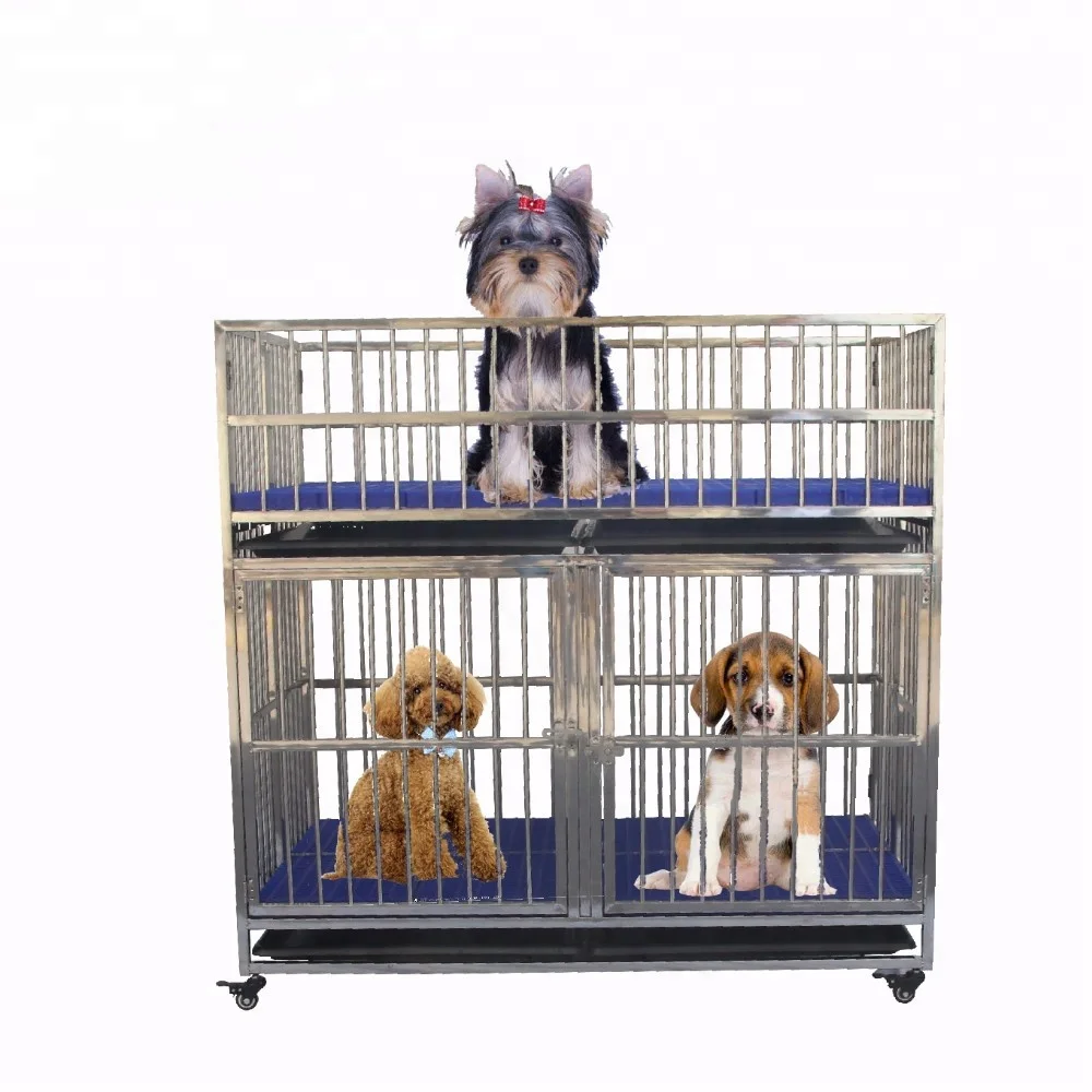lucite dog crate
