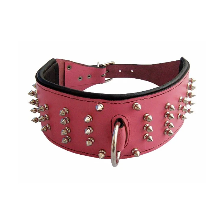 chrome dog collar