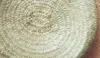 palm