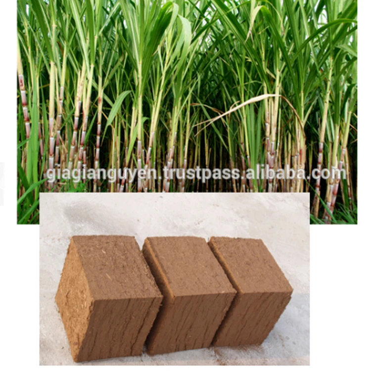 Reusable Natural Material Fuel for Sugar Mills Sugarcane Bagasse Products Pulp Low Price