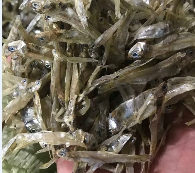 Small Whole Dried Anchovies 100 Natural Form Vietnam Buy Dried