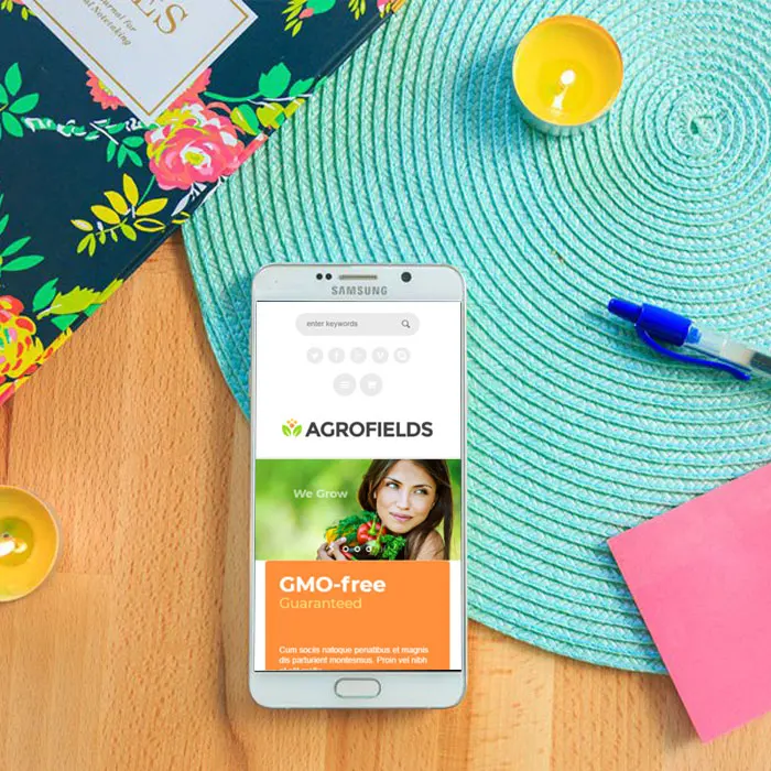 Online Grocery Shopping App & site In India Protolabz Eservices