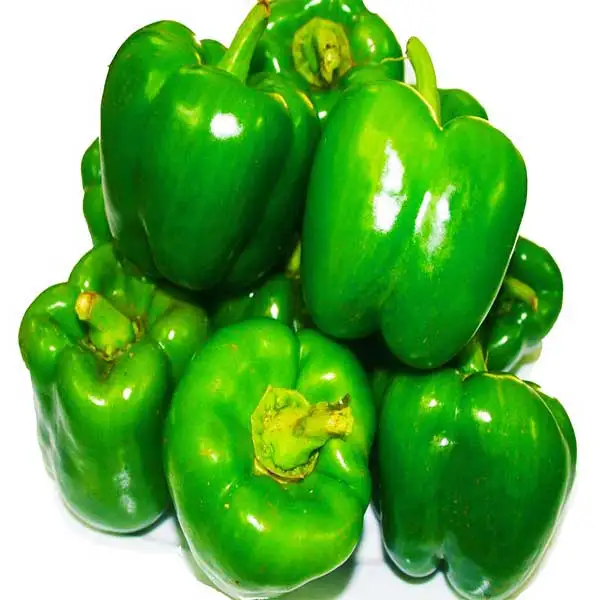 bell pepper/whatsapp  84 845 639 639 - buy sweet pepper,bell