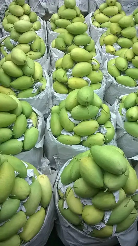 10kg　新鮮マンゴー 50g〜100g 2024年産新鮮マンゴー/猫竹マンゴー| Alibaba.com