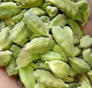 Wholesale Bulk Supplier Fresh Green Cardamom Indian Origin High Quality Cardamom Pods..