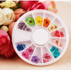 Новый стиль 12 видов цветов украшения прессованные натуральные