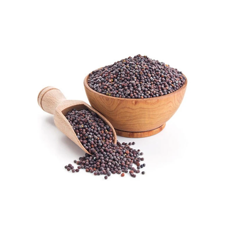 mustard seeds indian manufacturer high quality fresh mustard