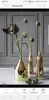 Brass Polished