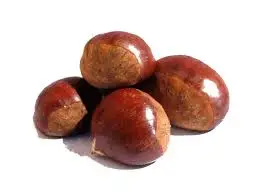 VIETNAM WHOLE SALE COMPETITIVE PRICE CHESTNUT