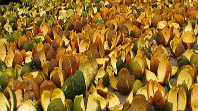 HIGH QUALITY and COMPETITIVE PRICE DRIED ORANGE MADE in VIETNAM