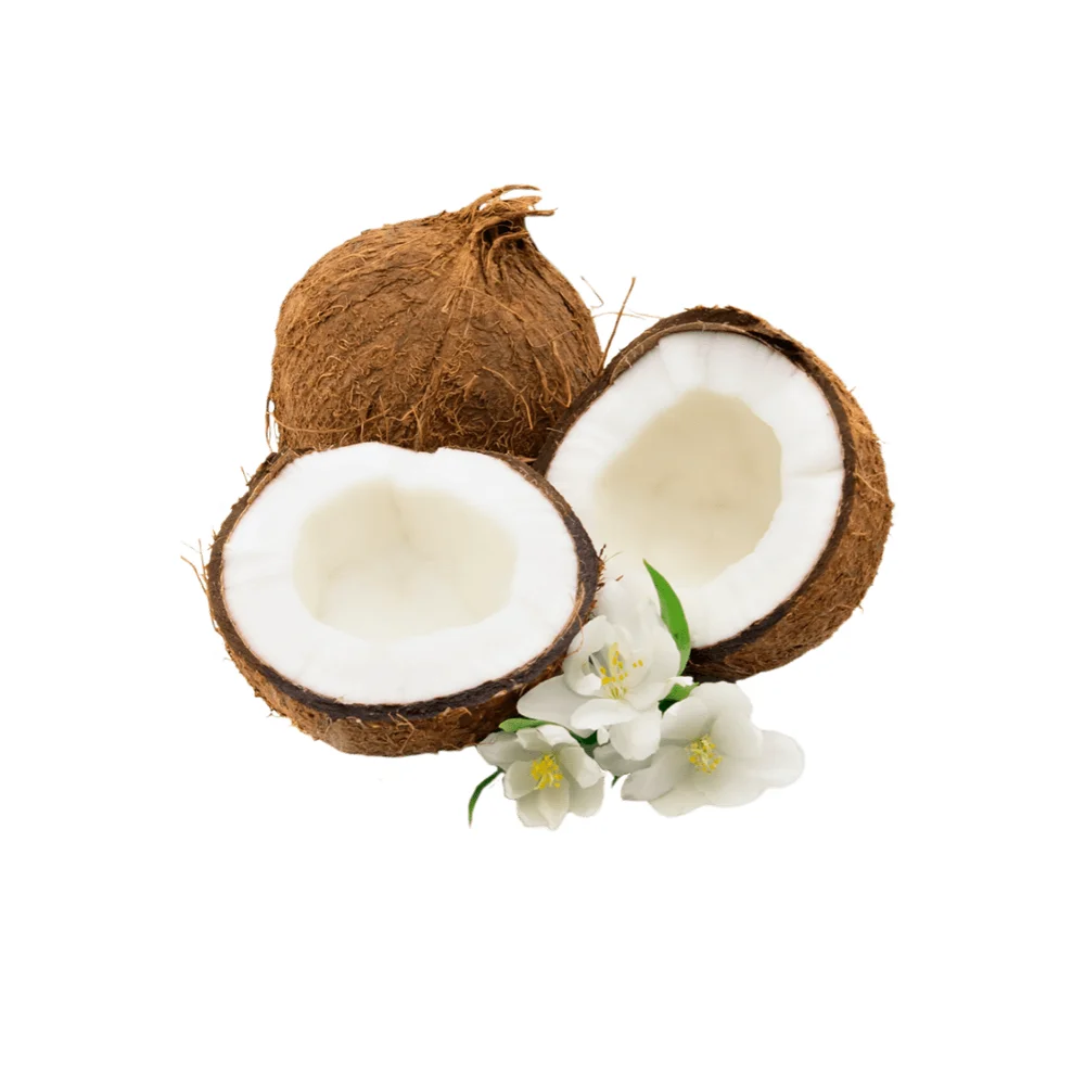 пейзаж с кокосом. белый кокос. кокосу приложение. кокос фон. кокосу приложение.