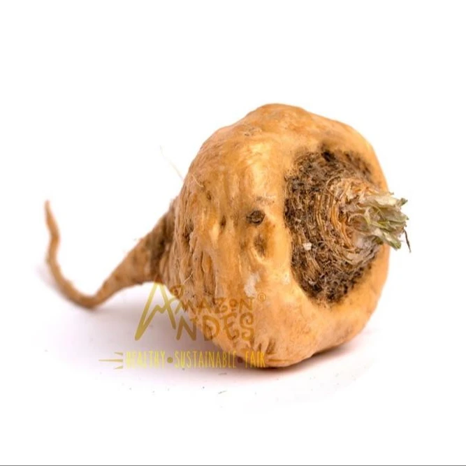 Best Produce Handpicked Maca Root Powder From Peru Buy Maca Powder Peru Handpicked Peruvian Maca Powder For Sale Peruvian Maca Powder For Wholesale Product On Alibaba Com