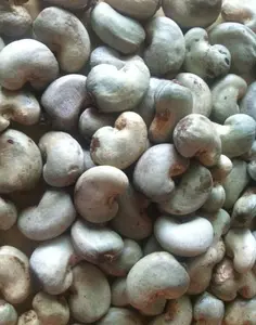 2026 Season Benin Origin Edible Raw Cashew Nuts Processed RCN Kernels Export Quality Wholesale Edible Raw Cashew Nuts