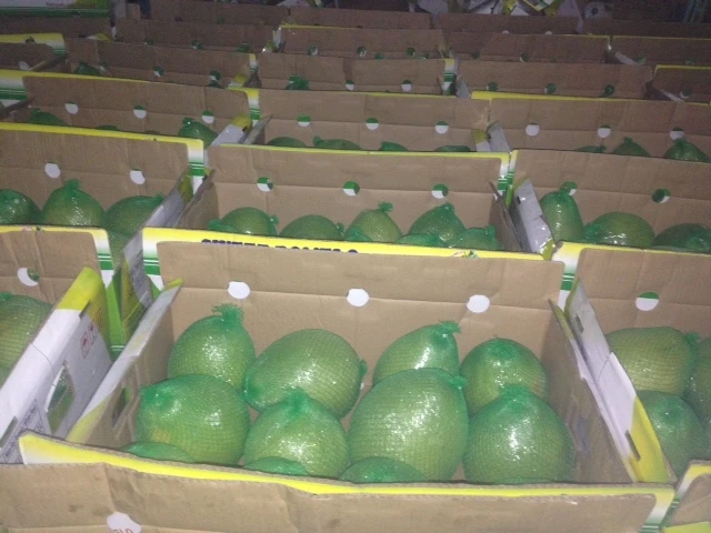Fresh Grapefruit / Red Grapefruit Pomelo in 2020