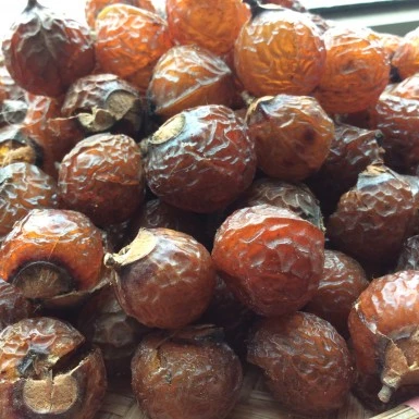 VIETNAM SOAPNUT SOAPBERRY