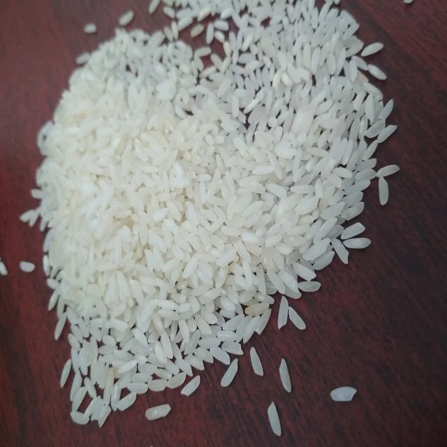 印度优质短粒5% 碎米ponni白米非印度大米