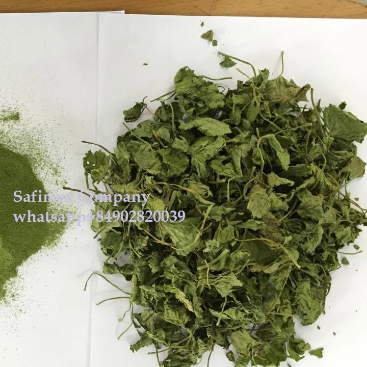 CENTELLA ASIATICA LEAVES / GOTU KOLA LEAVES / PENNYWORT LEAVES POWDER