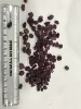 Púrpura