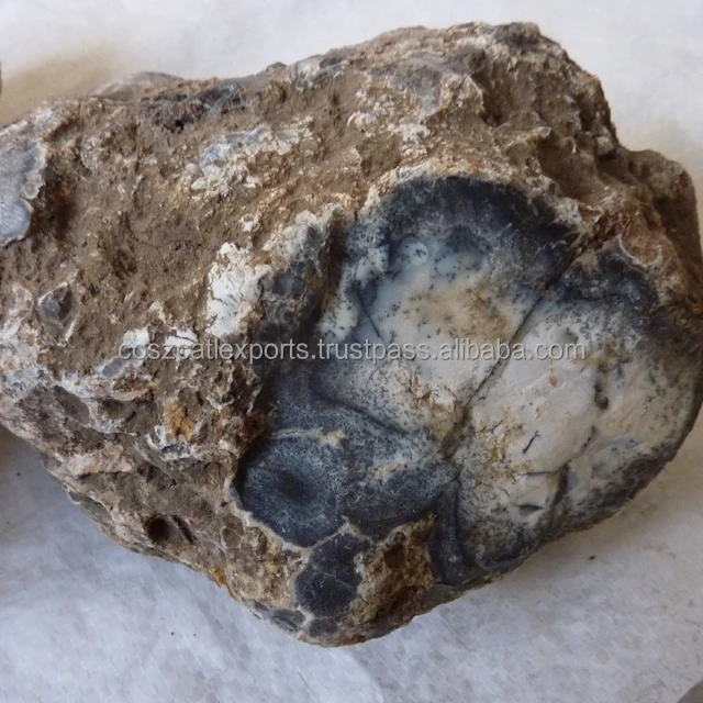 Turkish Dendritic Agate