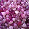 Pink Onex