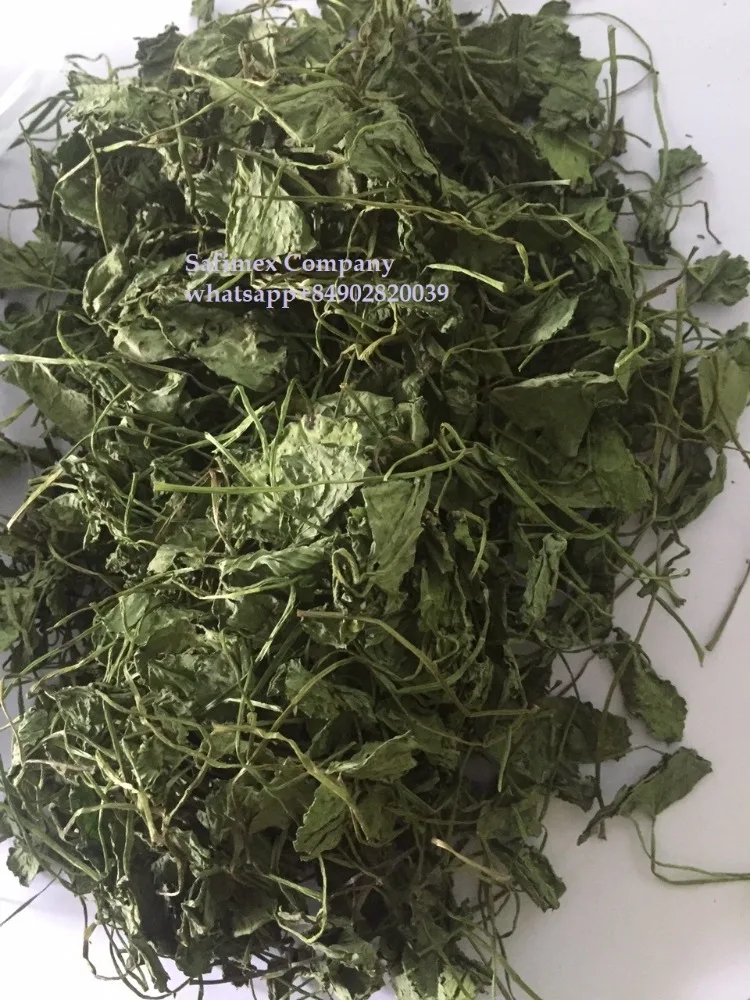 CENTELLA ASIATICA LEAVES / GOTU KOLA LEAVES / PENNYWORT LEAVES POWDER