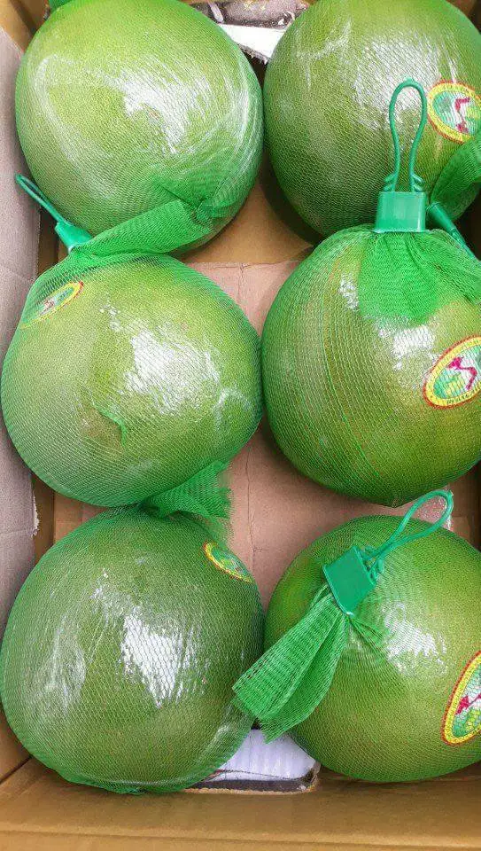 Fresh Grapefruit / Red Grapefruit Pomelo in 2020