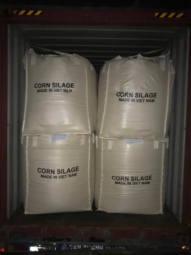 Vietnamese Corn Silage With Cheap Price