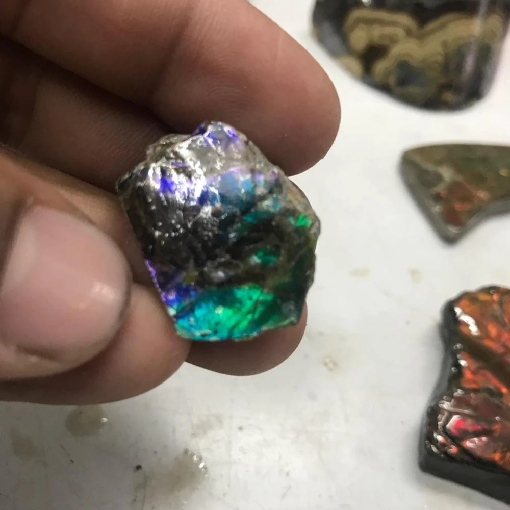 Ammolite Raw Rough Natural Stone Uncut Wholesale High Quality and Factory Price