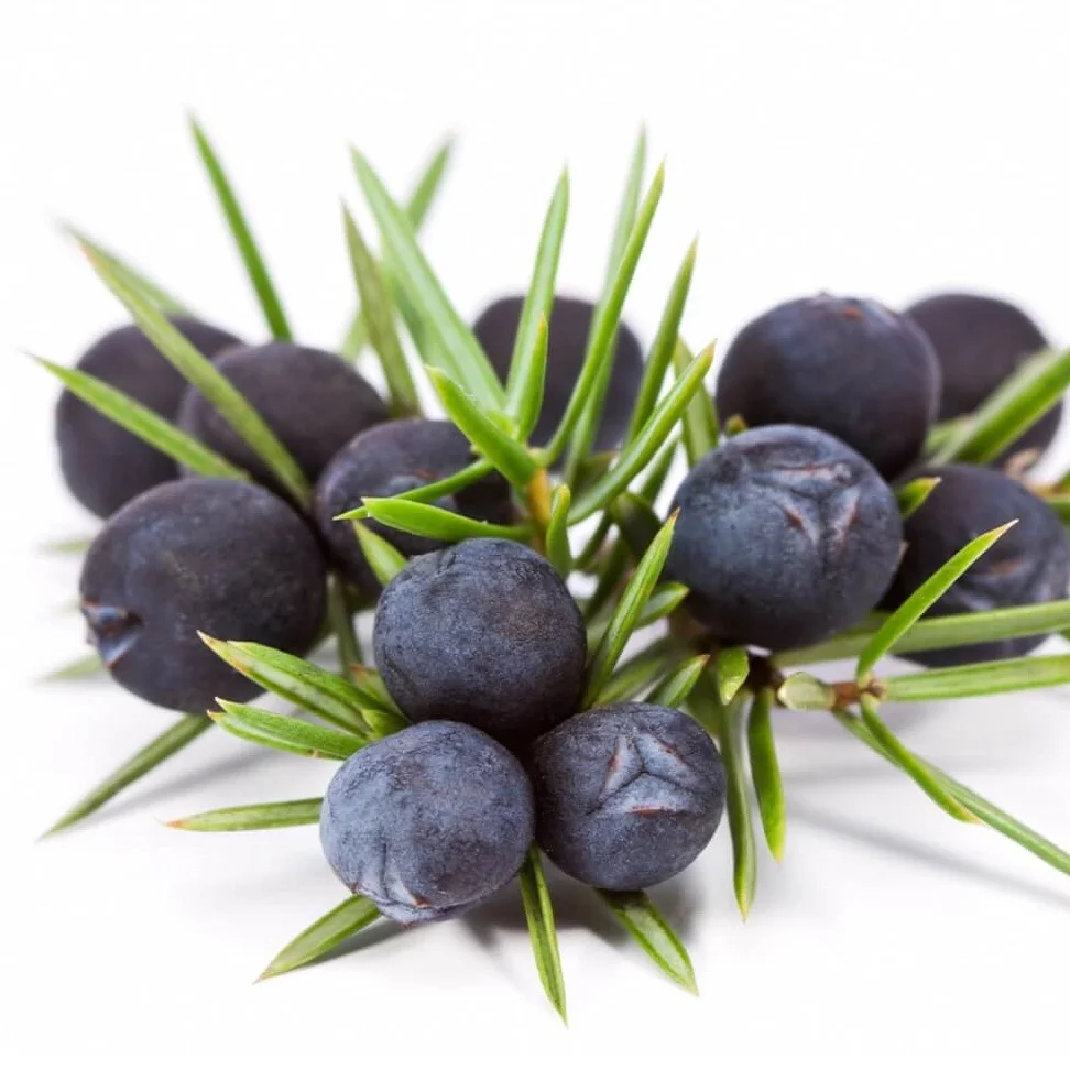 Juniper Berry можжевельник