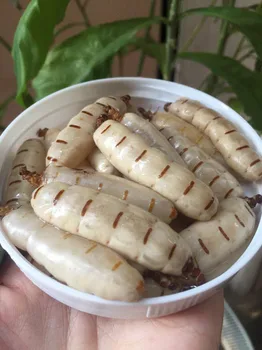 UTB8vLKkJ8ahduJk43Jaq6zM8FXat.