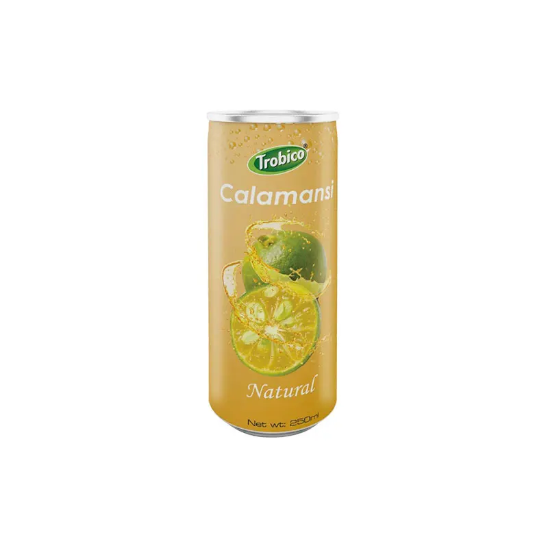 Philippine Brand Calamansi Juice Drink 250ml 