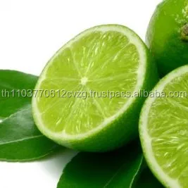 Lime Juice Powder Extract Spray Dry / OEM / Private Label / Product of Thailand / Food Grade Cooking and Drink